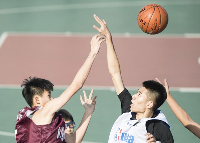 佩通坦泳装图片