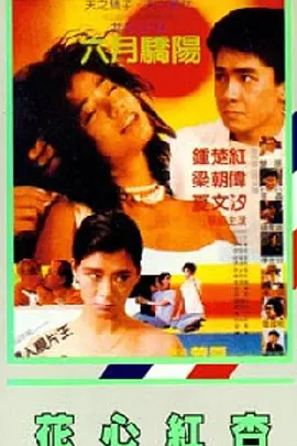 绯闻III