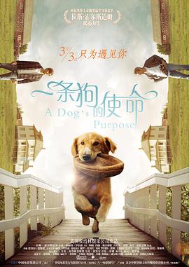 不忍心看不见
