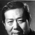 东北少妇av在线播放