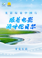 没有主人的花
