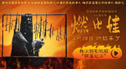 日韩在线视频网址
