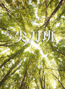 防沉迷号码,姓名大全