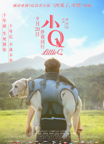 亚洲视频在线不卡