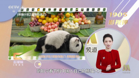 国产精品主播在线高清不卡